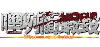哩咧衝蝦毀 (What are you doing?)