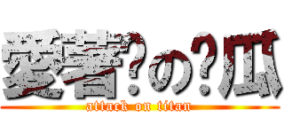 愛著妮の傻瓜 (attack on titan)