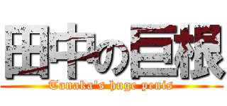 田中の巨根 (Tanaka's huge penis)