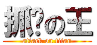 抓奶の王 (attack on titan)