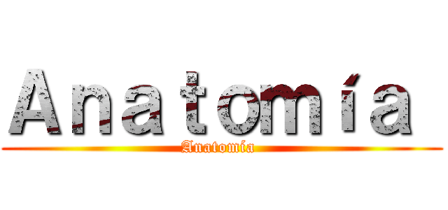 Ａｎａｔｏｍíａ  (Anatomía )