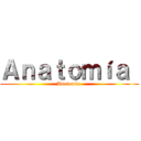 Ａｎａｔｏｍíａ  (Anatomía )