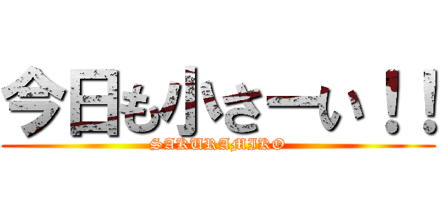 今日も小さーい！！ (SAKURAMIKO)
