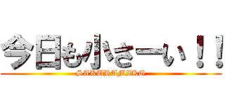 今日も小さーい！！ (SAKURAMIKO)