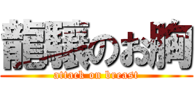 龍驤のお胸 (attack on breast)