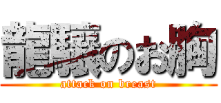 龍驤のお胸 (attack on breast)