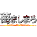 苺ましまろ (Ichigo Mashimaro)