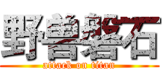 野兽磐石 (attack on titan)