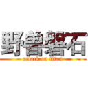 野兽磐石 (attack on titan)