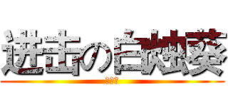 进击の白烛葵 (白小哥)