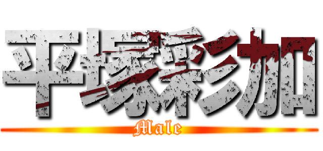 平塚彩加 (Male)
