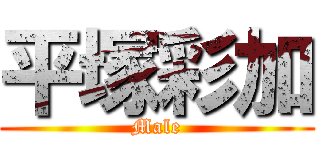 平塚彩加 (Male)