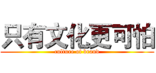 只有文化更可怕 (culture of brand)
