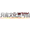 只有文化更可怕 (culture of brand)