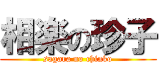 相楽の珍子 (sagara no chinko)