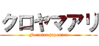 クロヤマアリ (Formica japonica)