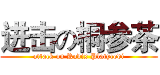 进击の桐参茶 (attack on Radix Platycodi)
