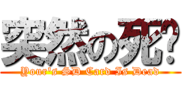 突然の死卡 (Your\'s SD Card Is Dead)