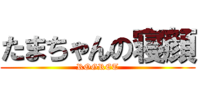 たまちゃんの寝顔 (ROGRET)