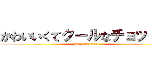 かわいいくてクールなチョッピー (@choppy0302)