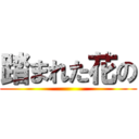 踏まれた花の ( )