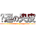 绝逗の央皮 (attack on yangpi)