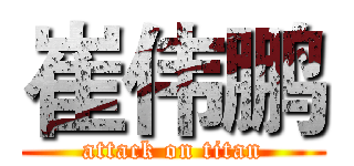 崔伟鹏 (attack on titan)