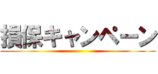 損保キャンペーン ()