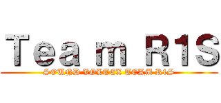 Ｔｅａ ｍ Ｒ１Ｓ (SOUND VOLTEX TEAM R1S)