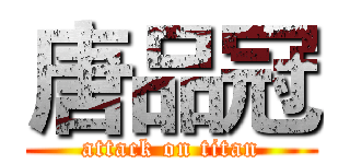 唐品冠 (attack on titan)