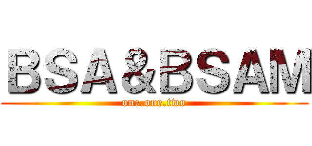 ＢＳＡ＆ＢＳＡＭ (one.one.two)