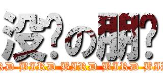 没鸟の朋总 (BIRD BIRD BIRD BIRD BIRD)