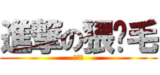 進撃の猥琐毛 (你妈逼)