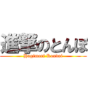 進撃のとんぼ (Hagimori Koudai)