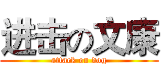 进击の文康 (attack on dog)
