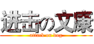 进击の文康 (attack on dog)