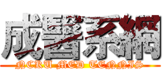 成醫系網 (NCKU MED TENNIS)