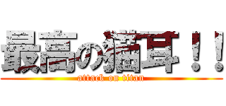 最高の猫耳！！ (attack on titan)