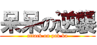 呆呆の逆襲 (attack on pak ka)