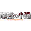 頑強の小強 (TheStrongestRoach)