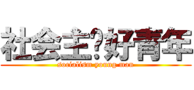 社会主义好青年 (socialism young man)