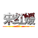 宋红媛 (宋红媛)