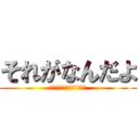 それがなんだよ (どうだっていいじゃないか)