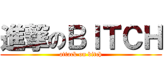 進撃のＢＩＴＣＨ (attack on bitch)