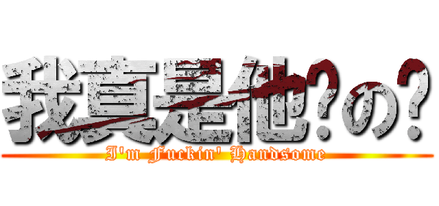我真是他妈の帅 (I\'m Fuckin\' Handsome)