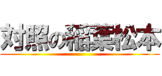 対照の稲葉松本 ()