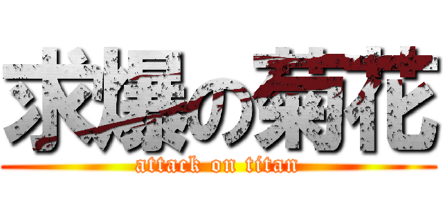 求爆の菊花 (attack on titan)