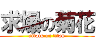 求爆の菊花 (attack on titan)