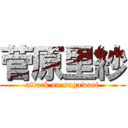 菅原里紗 (attack on sugawari)