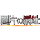 圖片の網址 (Link or Mum)